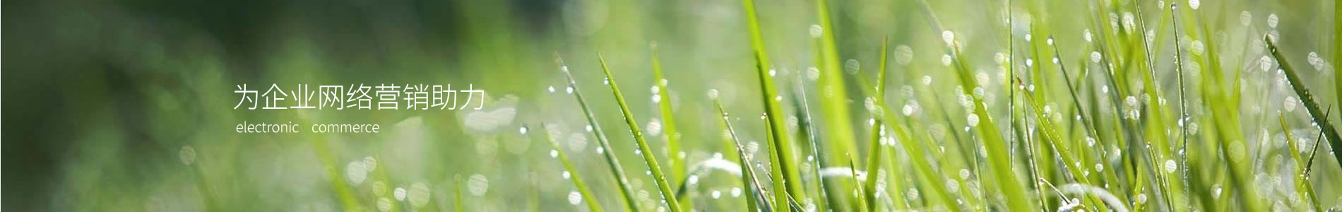оϴƼ޹˾